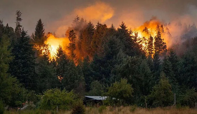 Greenpeace: Incendios en La Patagonia son los peores en tres décadas