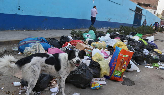 OEFA detecta 165 zonas críticas por acumulación de basura