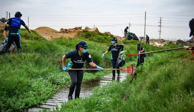 Pantanos de Villa: Convocan a voluntarios para limpieza del humedal