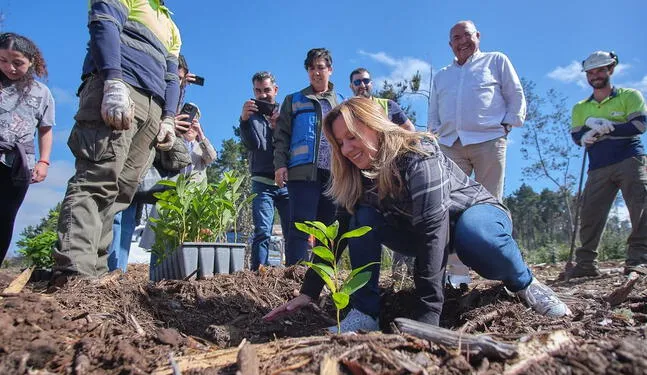España: Siembran 30 mil árboles para combatir la deforestación