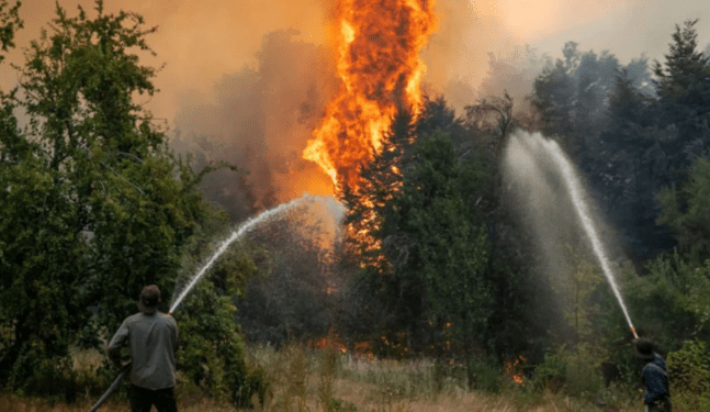 Incontrolable incendio en la Patagonia llega hasta Chile