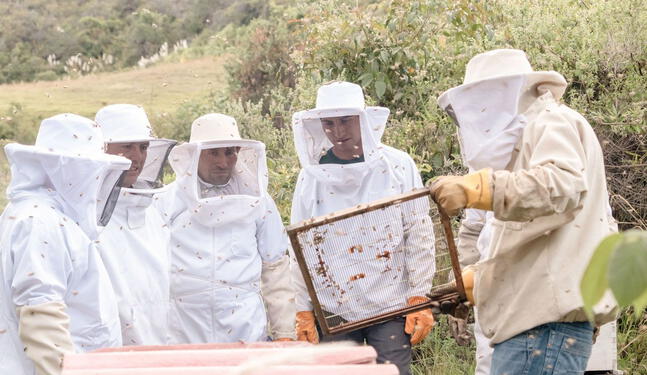 Productores apícolas reciben apoyo para fortalecer su actividad