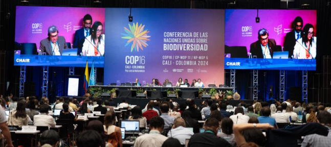 COP16: Conferencia cumplió con el 100 % de objetivos