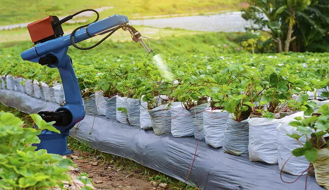 Habrá financiamiento para Startups que combatan cambio climático con IA