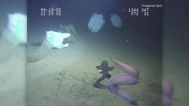 Basura humana llega al punto más profundo del Mediterráneo