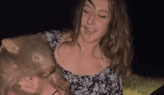 Australia: Influencer “secuestra” cría de wombat para crear contenido