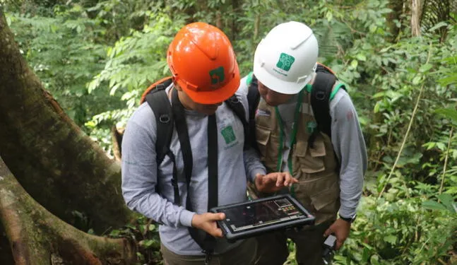 Inteligencia Artificial optimizará supervisión en bosques peruanos