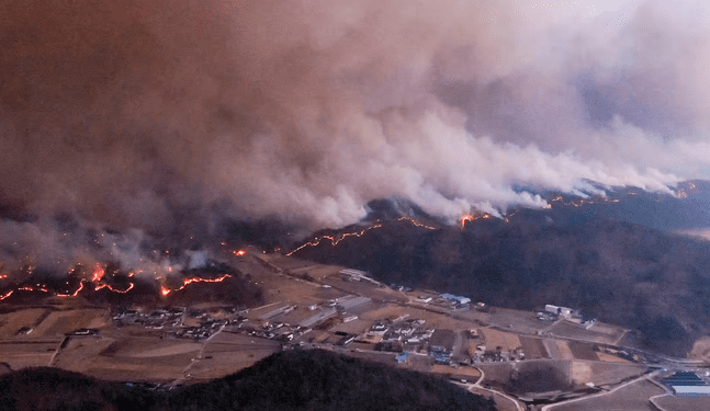Incendios forestales avanzan sin control en Corea del Sur