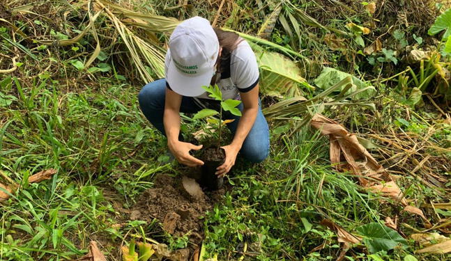 San Martín: Campaña busca reforestar áreas afectadas por incendios