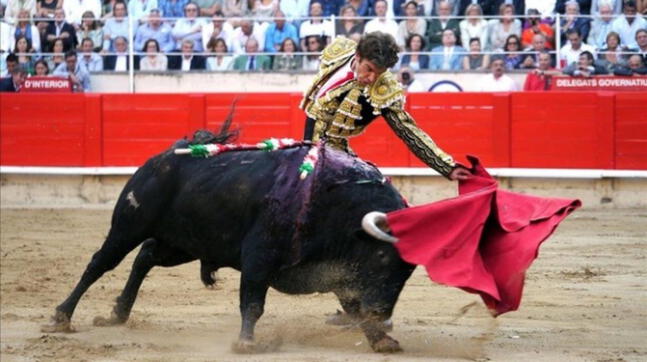 España: Iniciativa legal busca acabar con la tauromaquia