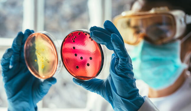 Cambio climático agravará problema de resistencia a los antimicrobianos