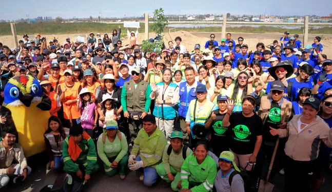 Entusiastas reforestan alrededores de los Pantanos de Villa