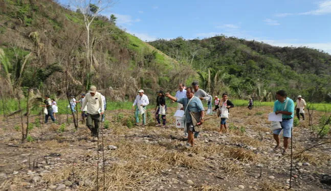 Presentan innovadora técnica para restaurar bosques de San Martín
