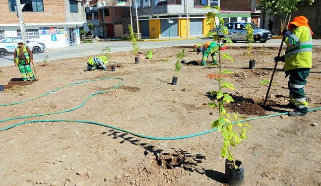 Botadero informal es transformado en área verde