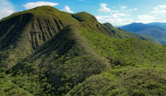Cajamarca alberga nueva Área de Conservación Regional Bosques Secos
