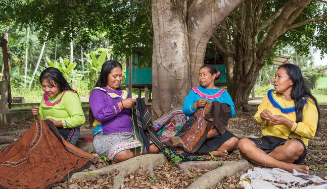 Comunidades nativas recibirán incentivos por conservar bosques
