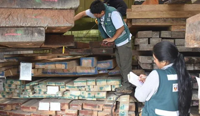 Decomisan madera de origen ilegal en ruta Madre de Dios-Arequipa