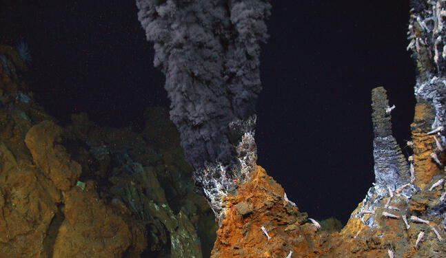 Hallan tesoros naturales en las profundidades del Antártico
