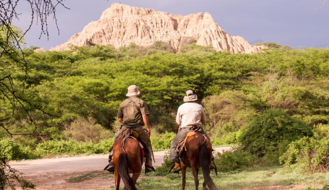 Bosque de Pómac será incluido en la ruta “Caminos del Papa León XIV”