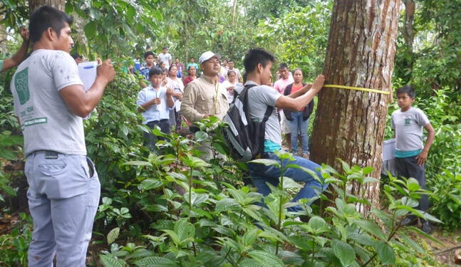Pueblos originarios articulan acciones para la gestión forestal