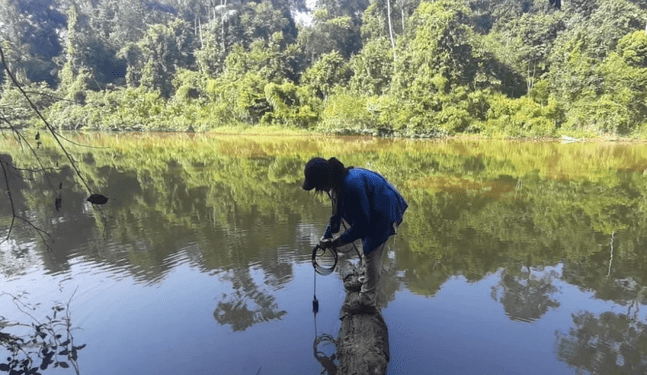 Biodiversidad se incrementa en lagunas mineras abandonadas