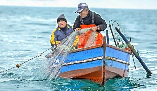 Entidades impusan pesca responsable con el ambiente