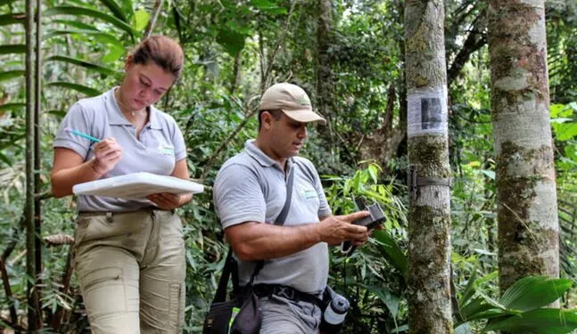 Perú desarrollará su primer asistente IA de biodiversidad