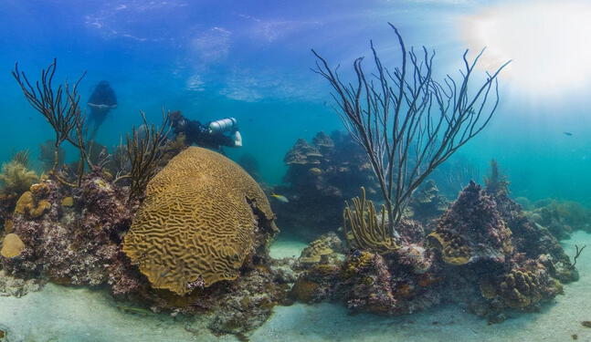 Colombia anuncia creación de nueva reserva marina en el Caribe