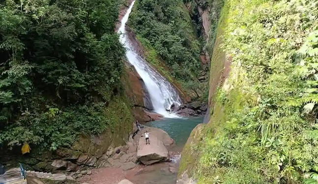 Velo de Novia es nueva área de conservación de Ucayali
