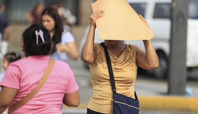 Selva peruana soportará temperaturas de hasta 34 °C