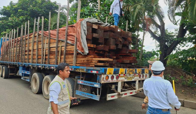 IA y monitoreo satelital permiten hallar madera de origen ilegal