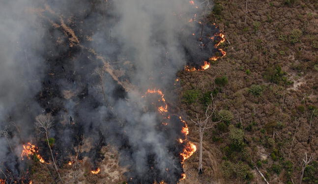 Amazonía brasileña registró en 2024 los mayores daños por fuego