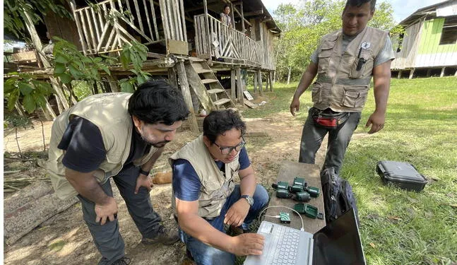 Inteligencia Artificial sale al rescate de la amazonia