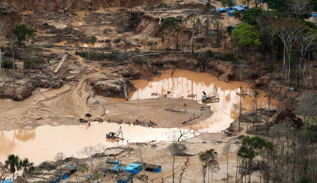 Recuperación de suelos afectados por minería ilegal tardará 10 años