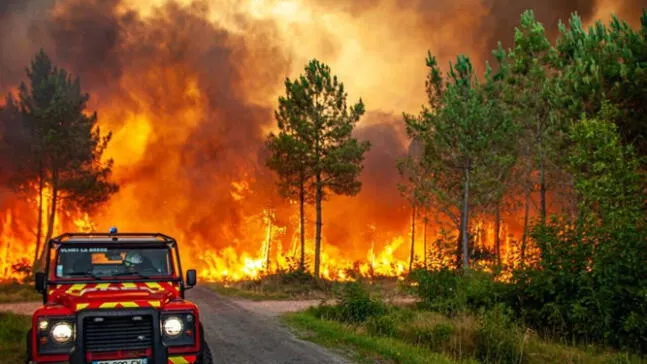 Turquía: Más de 50.000 personas fueron evacuadas por incendios