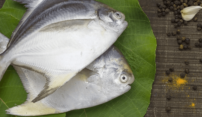 Científicos descubren nueva especie de parásito en peces amazónicos