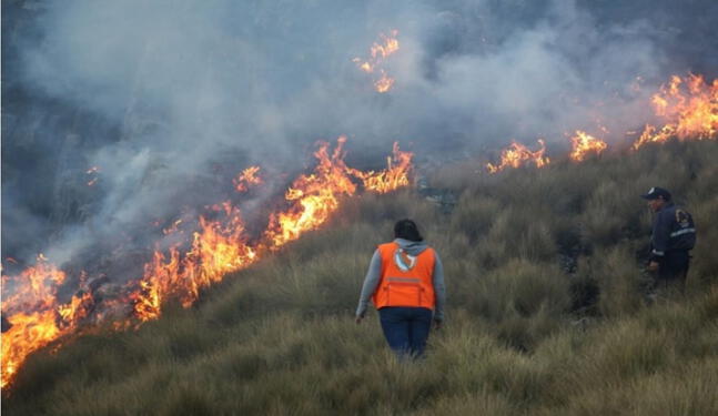 Cusco sufre por nuevo y feroz incendio forestal