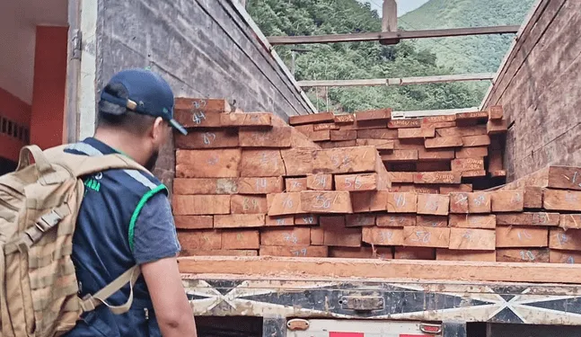 Fiscalía incauta madera proveniente del tráfico forestal ilegal
