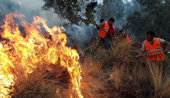 Cusco en alerta roja por nuevos incendios forestales