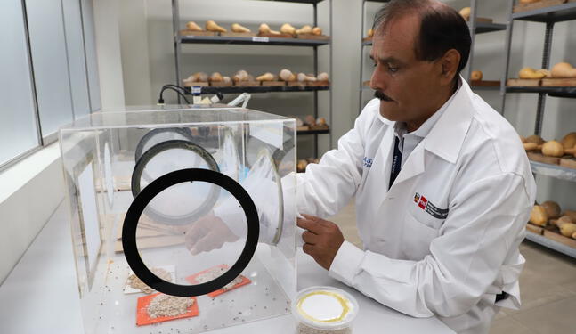 Perú cuenta con moderno centro de producción de insectos benéficos