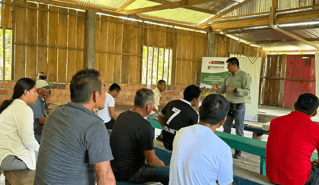 Comunidades compensan multas forestales con conservación de bosques
