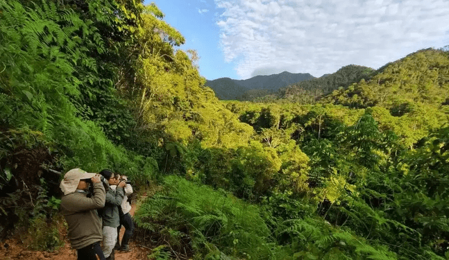 Perú establece nueva Área de Conservación Regional en Huánuco