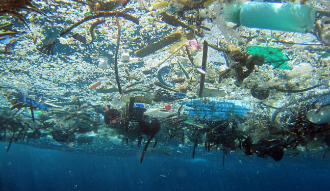 Estudio mide grado de contaminación plástica en el Mediterráneo