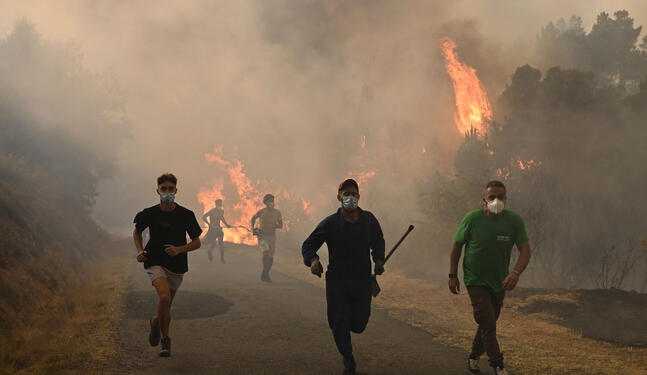 Incendios forestales dejan miles de desplazados