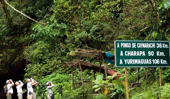 Tarapoto congregó a observadores de aves de todo el país