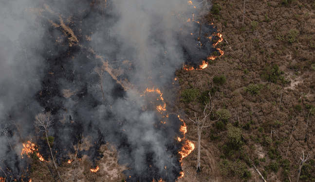 España: Incendios forestales arrasan más de 84 mil hectáreas