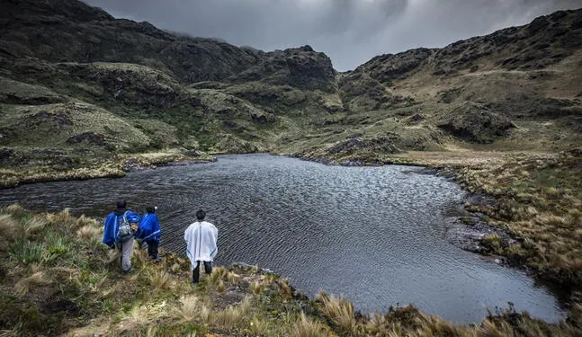 Áreas de Conservación regional necesitan S/27 millones para protección