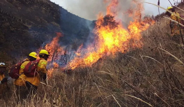 Incendios forestales afectan a cuatro regiones del país