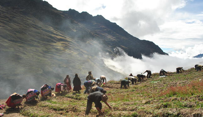 Cuyocuyo gana Premio Ecuatorial 2025 de las Naciones Unidas