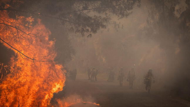 España: Incendios forestales ya arrasaron con unas 400.000 hectáreas